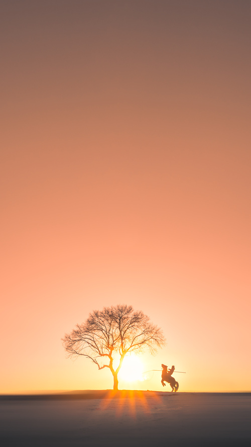 独舞的禁区幽灵,当阿尔瓦雷斯在荷乌对决中解锁终极形态