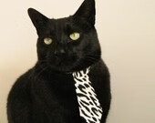 平行时空的对决，当掘金踏平国王时，库里在另一条时间线成为了关键先生