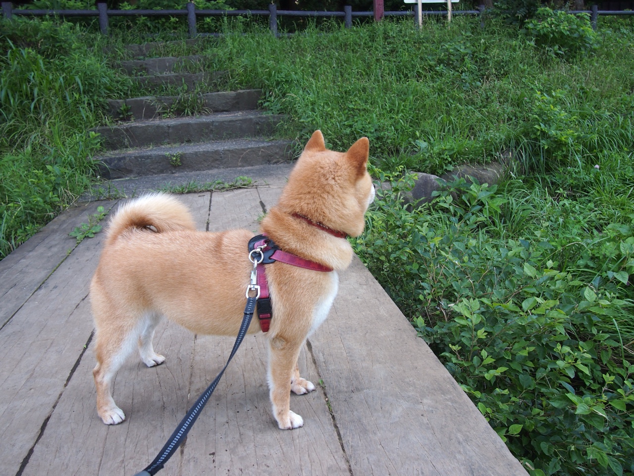 当爵士乐压过热浪轰鸣，范弗利特的枯燥胜利哲学