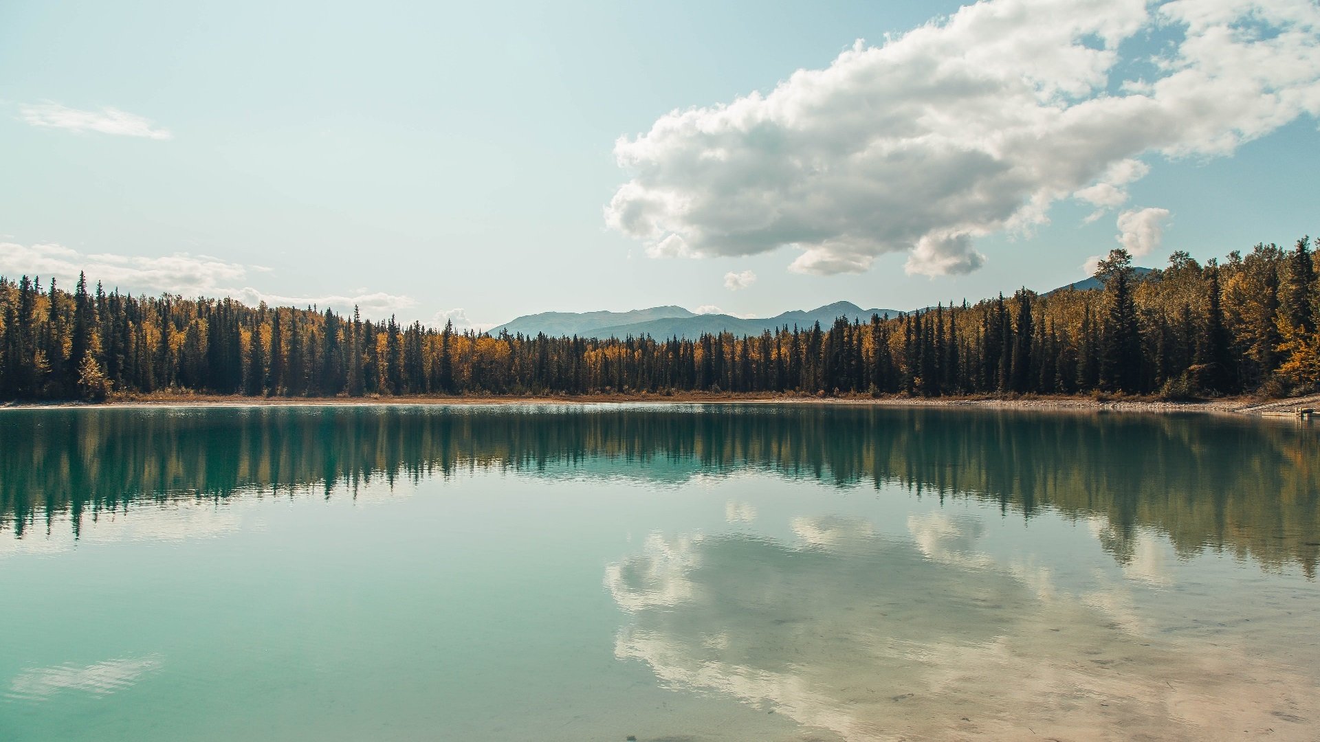 南非新星闪耀国家德比，皇马强势晋级欧冠焦点战