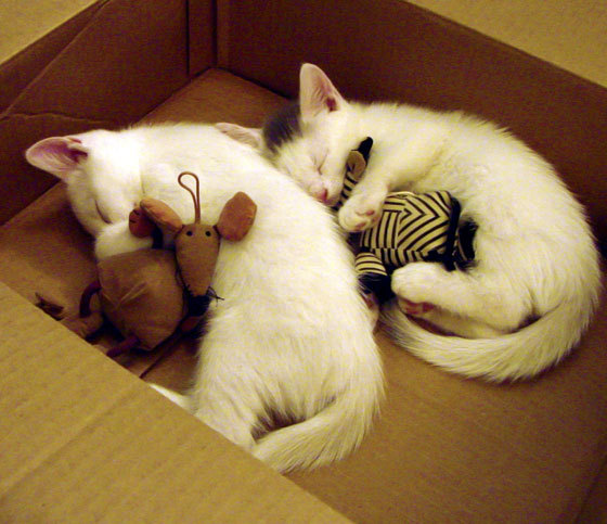 铁与樱，久保建英用贝蒂斯式胜利为亚洲足球正名