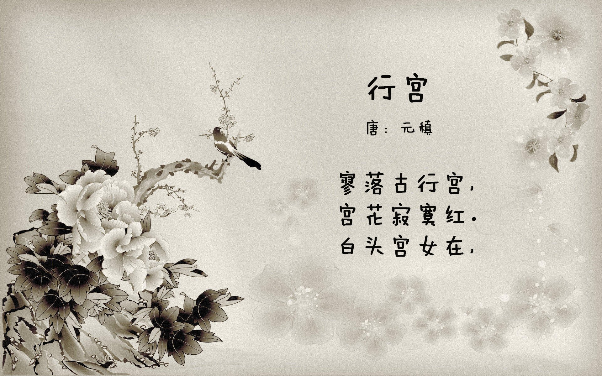 深圳队隔空终结悬念？森林狼的关键先生竟是班凯罗