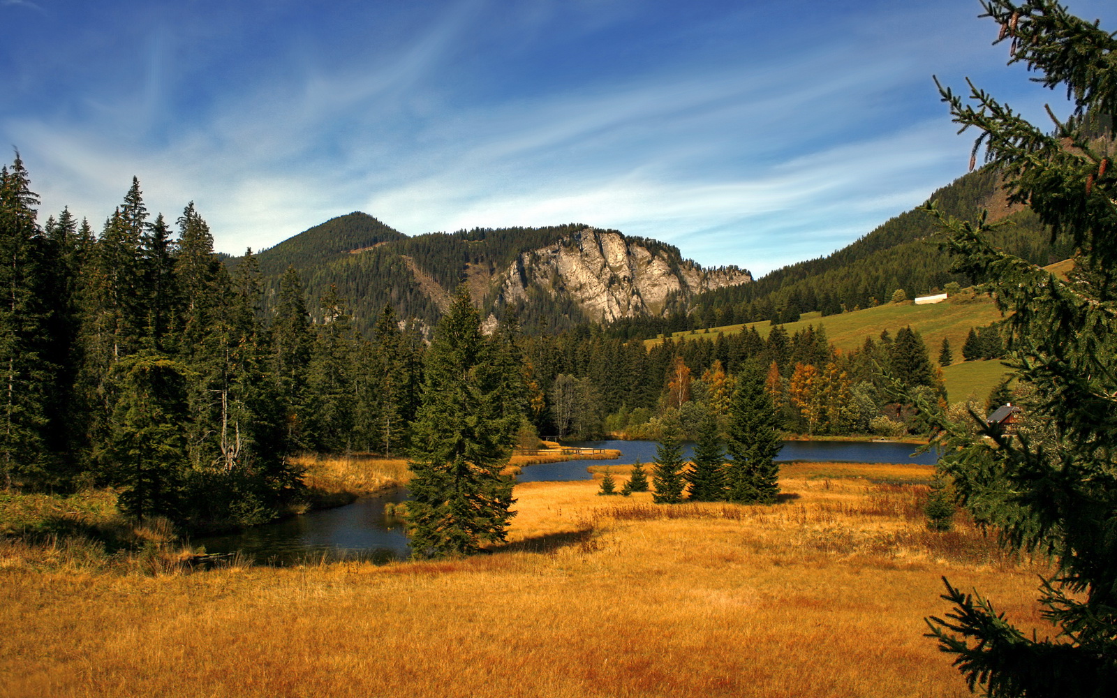 史上最离谱对决？东决级篮网为何踏平新疆队