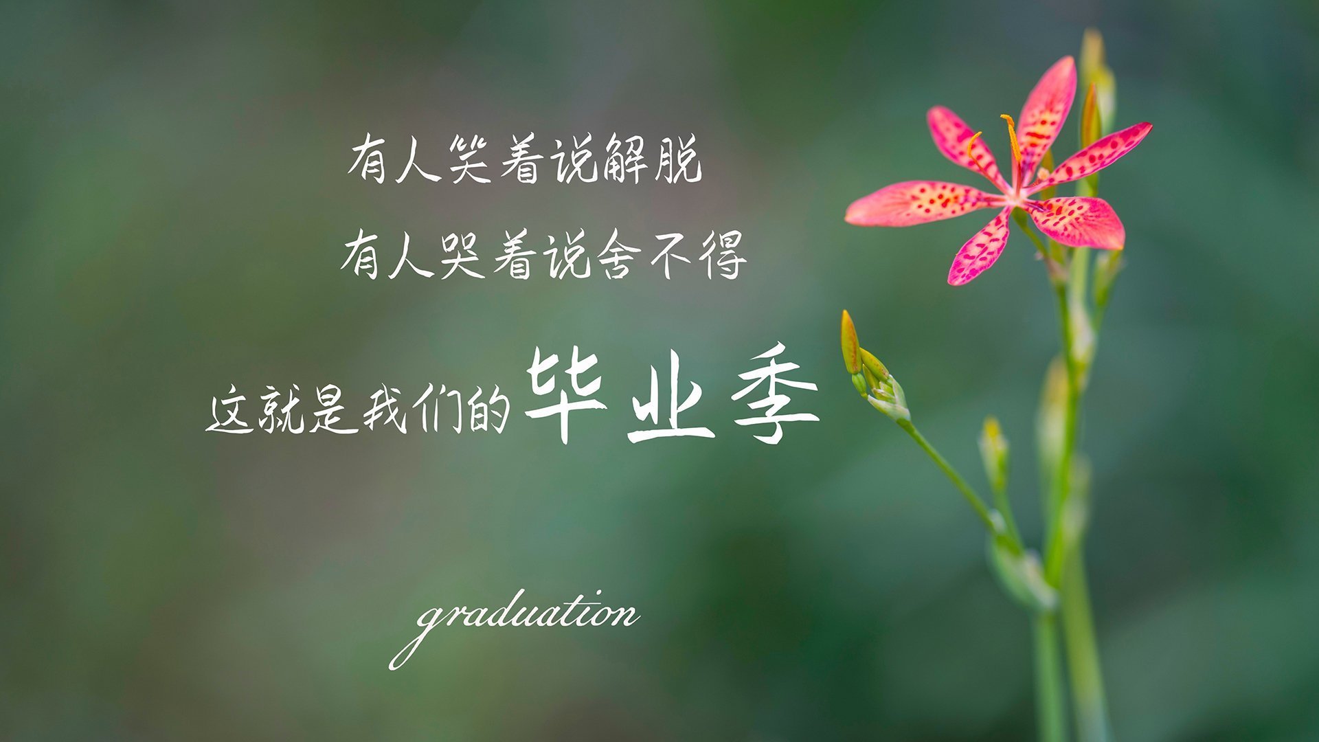 唯一性的交响，F1年度争冠之夜与卡马文加的大场面艺术