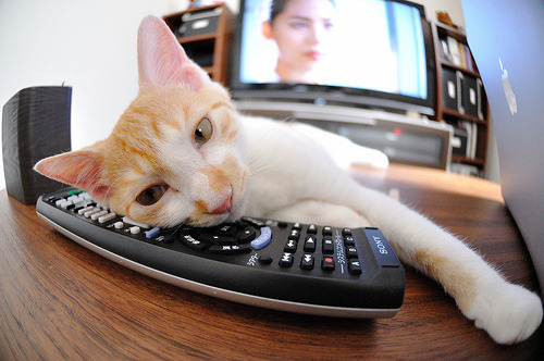 欧文末节15分化身魔法师!奇才爆冷胜快船,谁说天已经亮了?