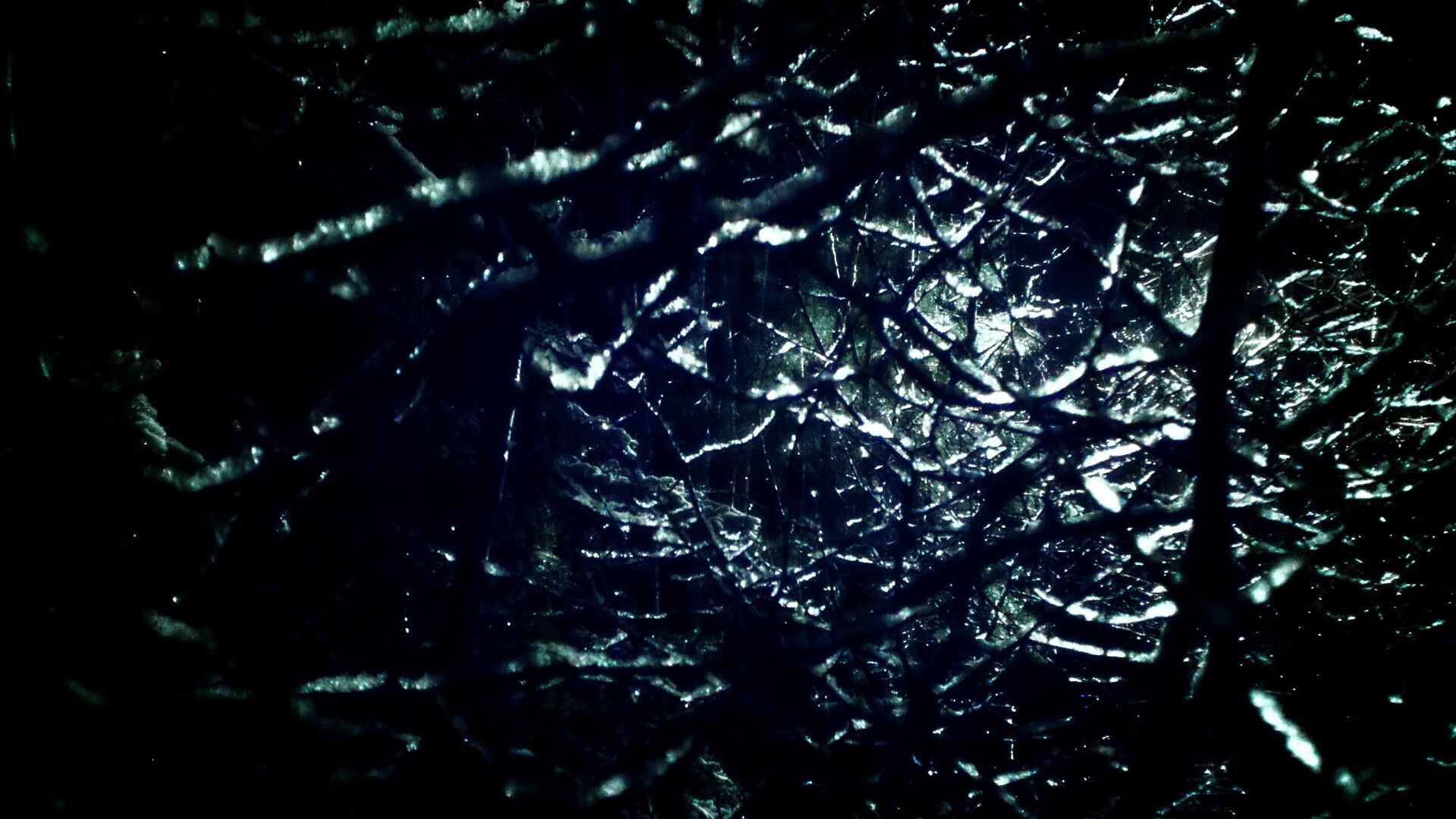 利刃出鞘，小贾伦的纽约夜，一场关于青春的精准解剖