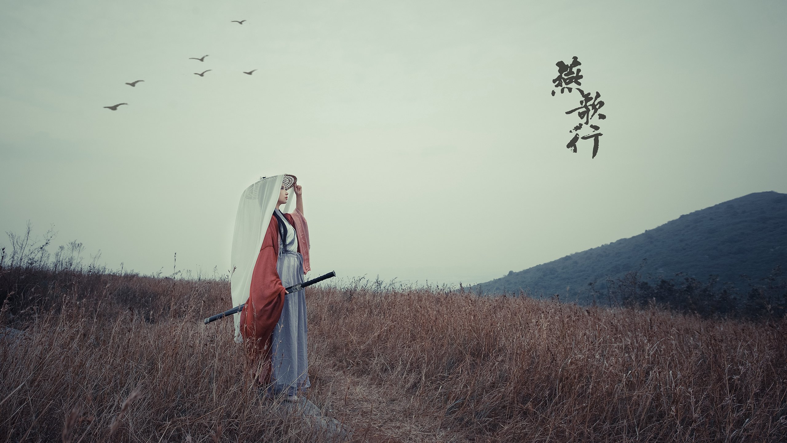 大航海时代的暗流，2026世界杯D组，B费如何用一脚直塞，刺穿日本足球的秩序之盾