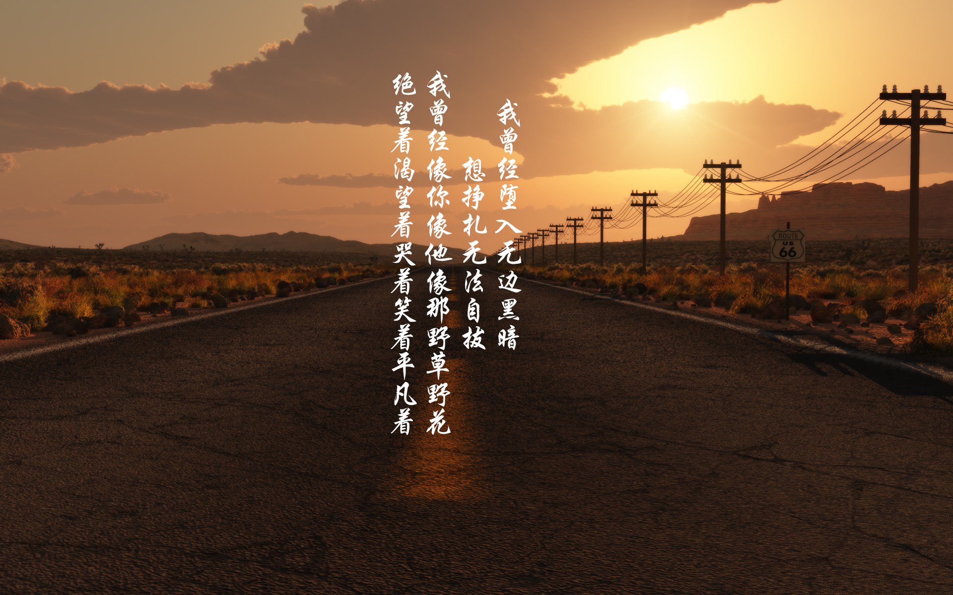 韩流退潮，C罗魔咒再显灵？不，这是一场属于尼日利亚雄鹰的加冕礼，2026世界杯D组，葡萄牙血洗韩国，奥斯梅恩一战封神