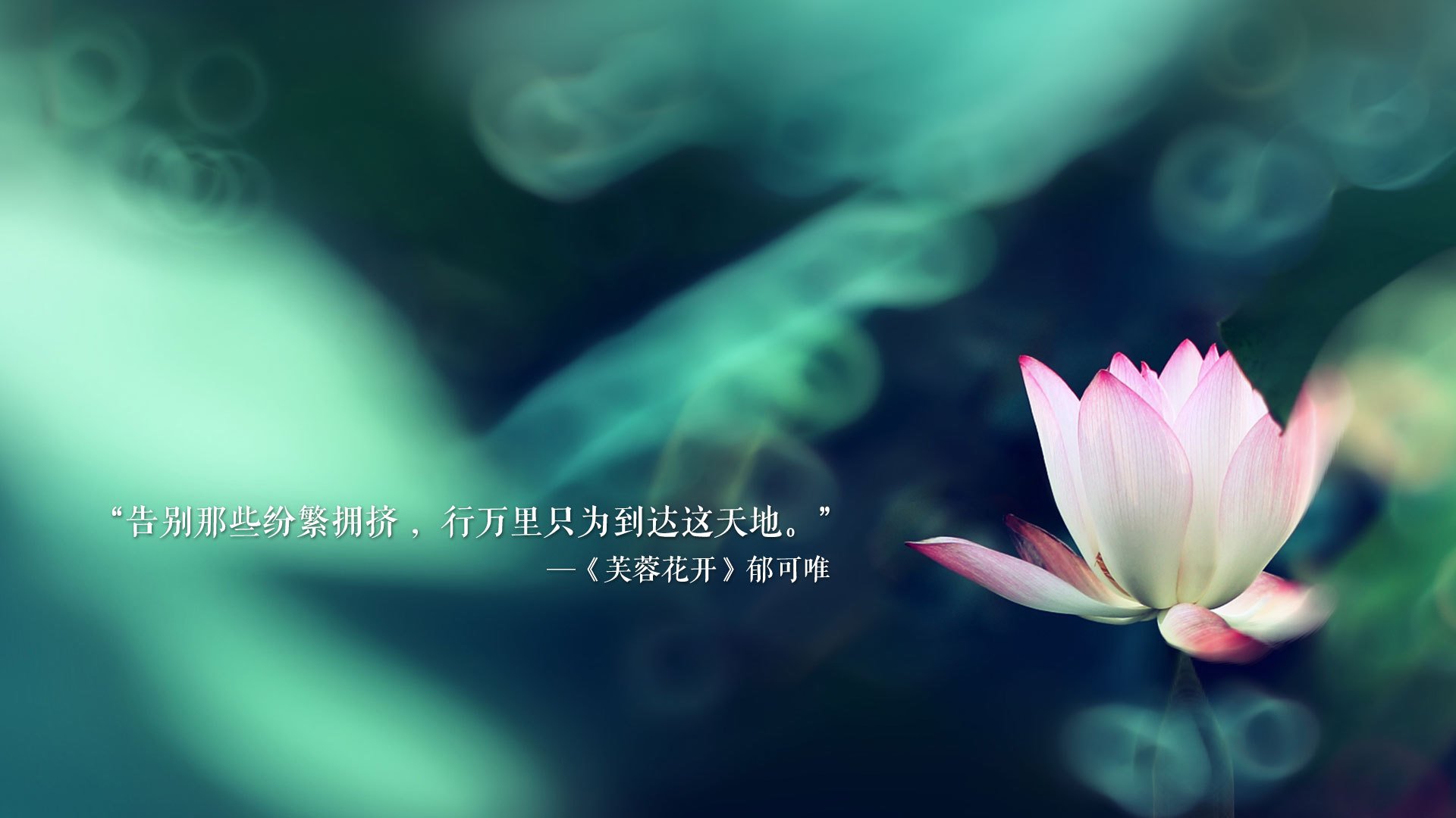 孤注一掷的探戈,控球为矛,费利克斯执掌命运,秘鲁绝杀突尼斯刻下不屈烙印