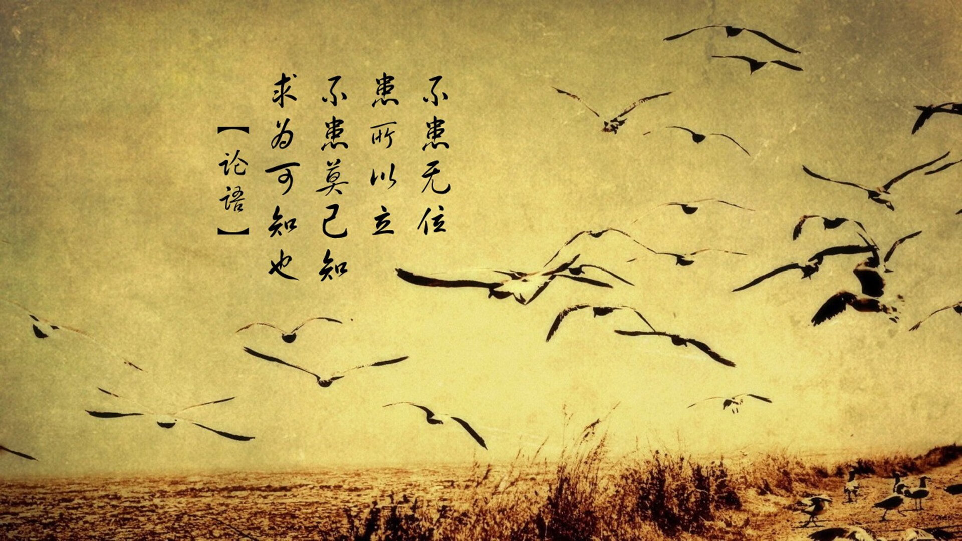 （三选一，推荐使用第三个）